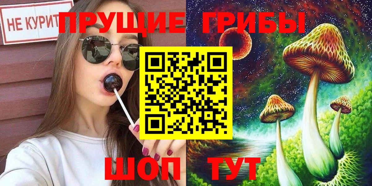 Галлюциногенные грибы Cubensis  Вход с VPN  Сертолово 